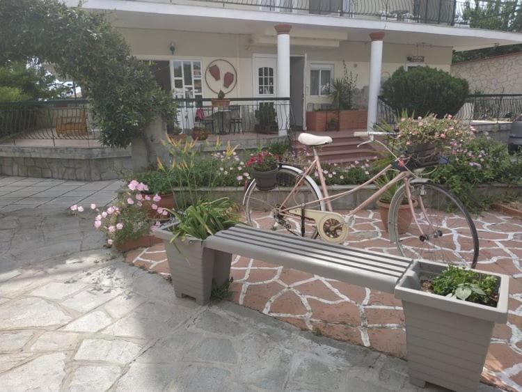 Aquarius Hotel Φούρκα Εξωτερικό φωτογραφία